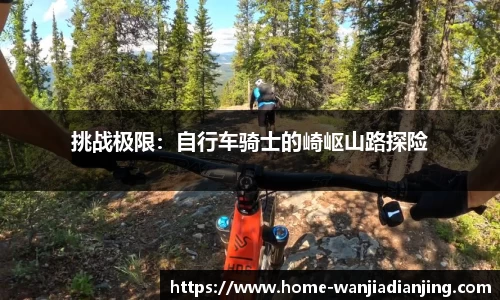 玩加电竞官网