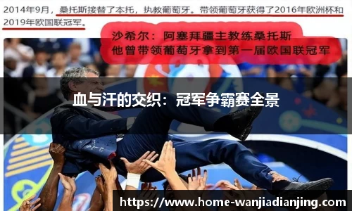 玩加电竞官网